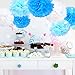 eBoot Tissue Paper Pom Poms Flower For Wedding Party Decoration, 10 Inch, Pack of 9