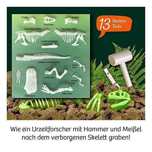 Nachtleuchtender T-Rex Ausgrabungs-Set – Bild 5