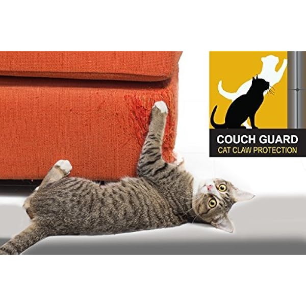best couch for cats with claws