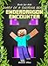 Books for Kids: Diary of a Snoring Beast: EnderDragon Encounter