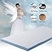 Cr 3-inch Foam Mattress Topper with Ultra Soft Cover, Twin Size, 37.5