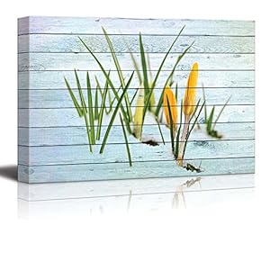 Yellow Flowers and Grass Blooming on The Snow Over Wood Panels - Canvas Art Home Art - 12x18 inches