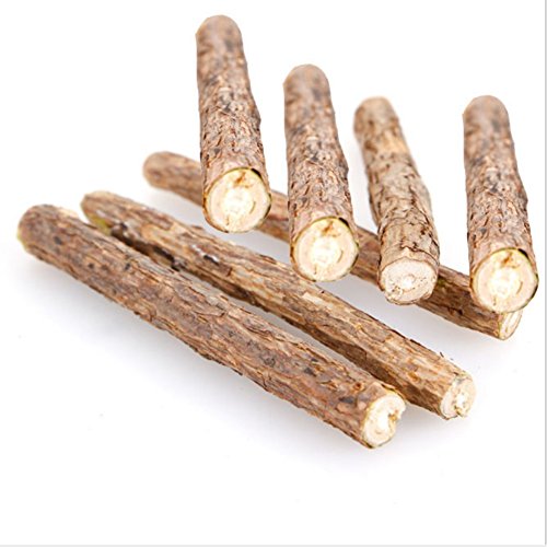 Cat Cleaning Teeth Pure Natural Catnip Pet Cat Molar Toothpaste Stick Silvervine Actinidia Fruit Matatabi Cat Snacks Sticks