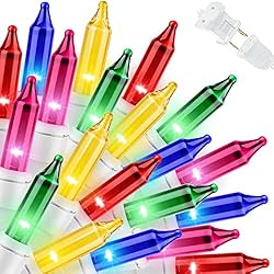 LAMPHOME Christmas String Light,100 Count