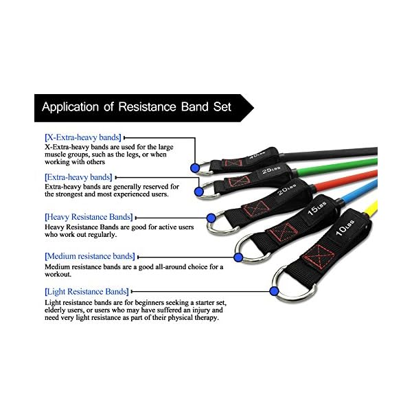 thefitlife exercise resistance bands with handles