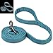 Embark Illuminate Reflective Leash for Night Walking - 5 Ft Long, 3/4 Inch Width, Medium Dog Leash, Reflective Material, Light Up (Blue)