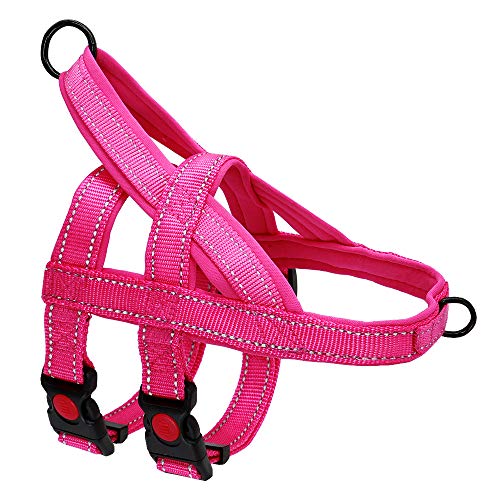 dex dog harness