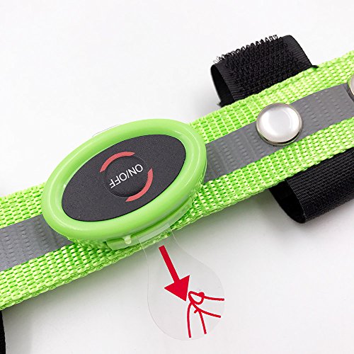MOYLOR Illuminate LED Protective Gear Head Collar for Horse Browband Horse Bridle Safety Light Horses Equipment - Horsing Accessory (1pcs of Green)