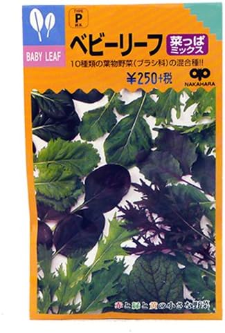 Amazon ベビーリーフ 種 菜っぱミックス 小袋 野菜