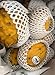 KEJORA Fresh Yellow Dragon Fruit (Set of 8)