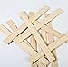 Woodman Crafts Paint Sticks - 12