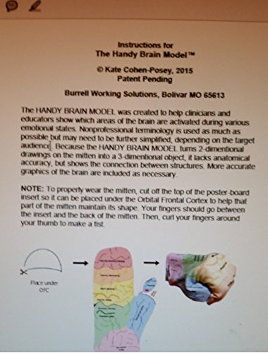 6 Handy+Brain+Model+B+1+2+medium