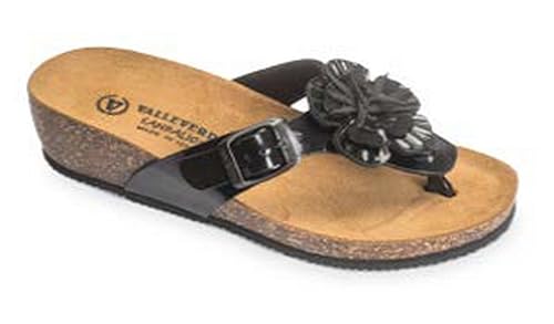 converse limited edition 2019