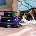 Easyology Cat Toy - Interactive Fun with 3-Levels - Cat Teaser for Kittens