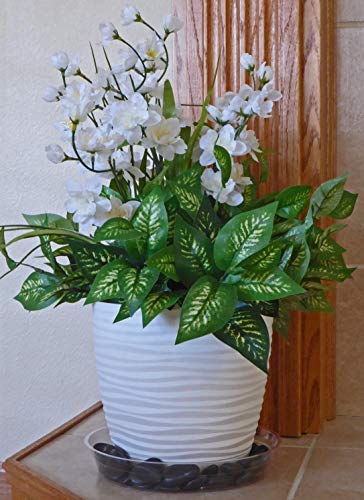 6 YOUniversal+Products+Clear+Plant+Saucers