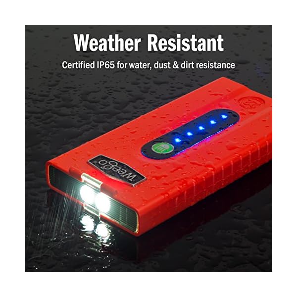 Weego-Jump-Starter-22-Most-Efficient-Jump-Starts-5-Liter-Gas