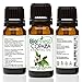 BioFinest Copaiba Oil - 100% Pure Copaiba Essential Oil - Aid Digestion, Promote Skin Healing - Premium Quality - Therapeutic Grade - Best For Aromatherapy - FREE E-Book (10ml)