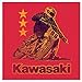 Tee Luv Kawasaki T-Shirt - Red Kawasaki Motorcycle Shirt (Medium) Red