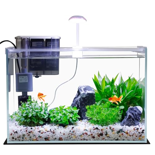 Vimvins 5 Gallon Glass Aquarium