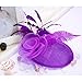 Valdler Halloween Costume Feather Net and Veil Fascinator Hair Clip Hat Hair Accessories Clip for Festival Party Purple