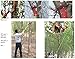 VPABES 26 Foot Length Tree Pole Pruner Tree Saw Garden Tools Loppers Hand Pole Saws