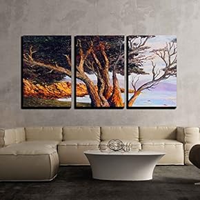 3 Piece Canvas Wall Art - Very Nice Small Scale Oil Painting on Canvas - Modern Home Art Stretched and Framed Ready to Hang - 16"x24"x3 Panels
