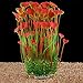 QUMY Large Aquarium Plants Artificial Plastic Fish Tank Plants Decoration Ornament for All Fish
