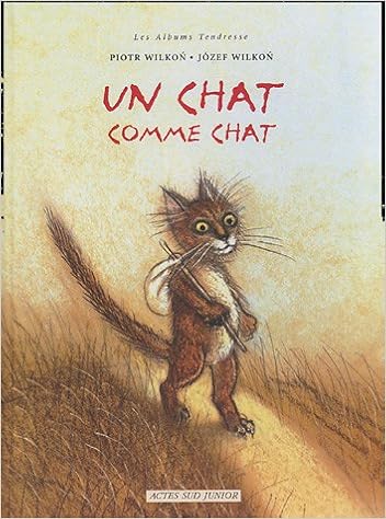 un-chat-comme-chat