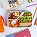 Bento Box Lunch Container, 3 Compartment Food Box for Meal Prepping, Reusable Meal Prep Container with Spoon & Grey Lid, Food Prep Lunchbox for Kids & Adults, Divided Food Storage Container with Lid