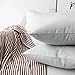 Home Brilliant Linen Pillow Covers 18x18 Decorative Throw Pillow Cover Burlap Lined for Couch Bench Patio Sofa, 2 Pack, 18x18 inch(45x45cm), Light Grey