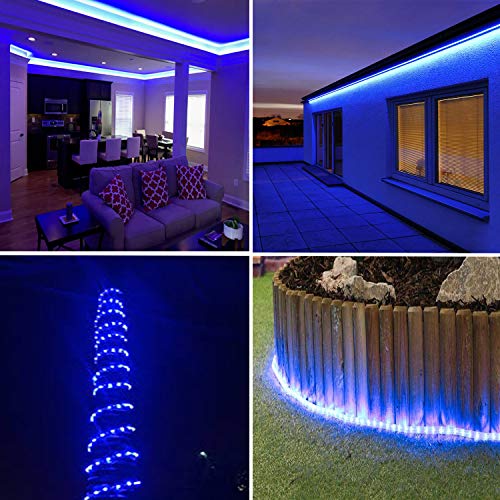 image for SURNIE 26.3ft 288 LEDs Rope String Lights, Blue, 110V, 2 Wire, Waterpr