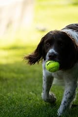 Petface Super Tennis Balls for Dogs 3 Pack Durable High-Visibility Fetch Toy view 6