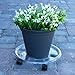 TABOR TOOLS Plant Caddy Saucer with 4 Universal Wheels, Plant Dolly, Flower Pot Trolley, Planter Pot Mover, Outdoor Planter Trolley Tray (17″, Clear-PG307A)thumb 4