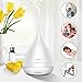 LANTARK Essential Oil Diffuser Aroma Oil Ultrasonic Cool Mist Humidifier with Auto Shut-off and 7 Color LED Lights Changing(15 gradient colors),Aromatherapy Diffuser for Home Office Bedroom Yoga Sp