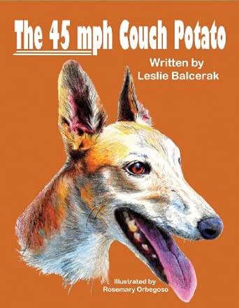 The 45 Mph Couch Potato Kindle Edition By Leslie Balcerak