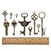 Keyzone 100 Pcs Vintage Antique Bronze Mixed Skeleton Key Charms Pendants DIY for Jewelry Making and Handmaking