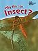 Why Am I an Insect? (Classifying Animals) by 