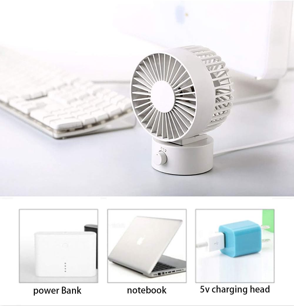 Riding the plus size wave case study answers 02 picture