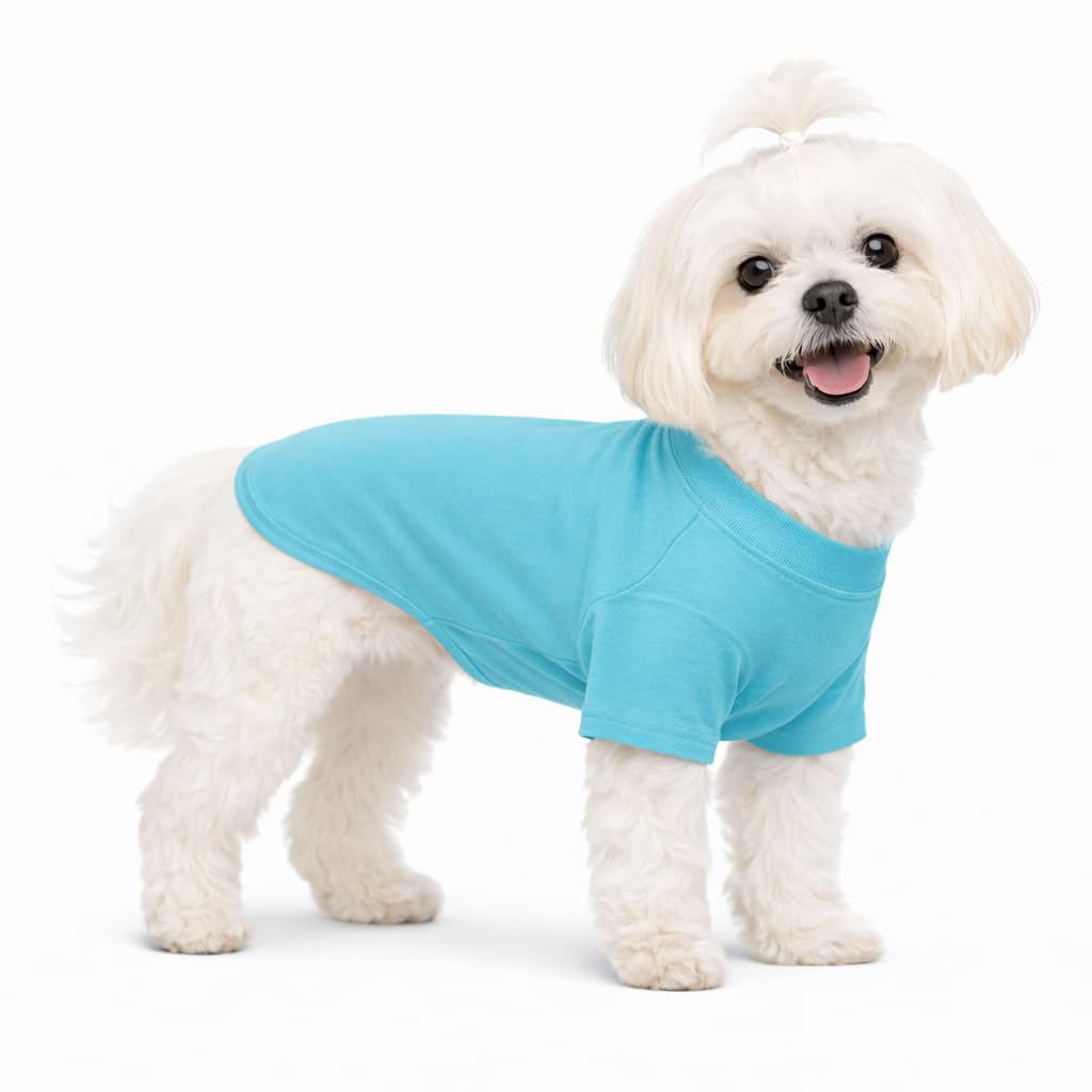 Lovelonglong Pet Clothing Dog Costumes Basic Blank T-Shirt Tee Shirts for Small Dogs Turquoise XS