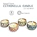 YIIA Citronella Scented Candles Set 4 Natural Soy Wax Travel Tin 2.5oz, Outdoor and Indoor
