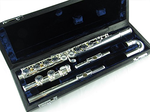 Trevor James 10X Flute with Curved & Straight Headjoints