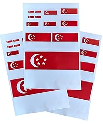 EUIOSFDC Decal in Multiple Sizes Singapore Flag