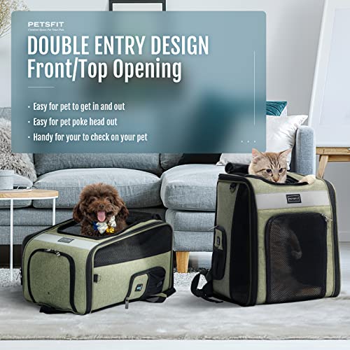 Adventurous Cats And Humans Sac A Dos Chien Petsfit Comfortable