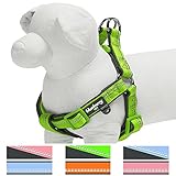 Blueberry Pet 4 Colors Soft & Comfy 3M Reflective Step-in Pastel Color Padded Dog Harness, Chest Girth 15.5