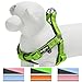 Blueberry Pet 4 Colors Soft & Comfy 3M Reflective Step-in Easter Spring Pastel Color Paddd Dog Harness, Chest Girth 15.5