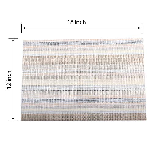 PREMIUM CARE Set of 4 Placemats for Table Heat-Resistant Skid-Proof Table Mats Dining Table Woven Stain Resistant Easy to Clean