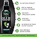 All Natural Shoe Deodorizer and Foot Deodorant Spray - Made in USA - with Peppermint, Tea Tree, Eucalyptus and Essential Oils to Remove Bad Odor and Scent - Best for Stinky Shoes, Smelly Feet & Sport