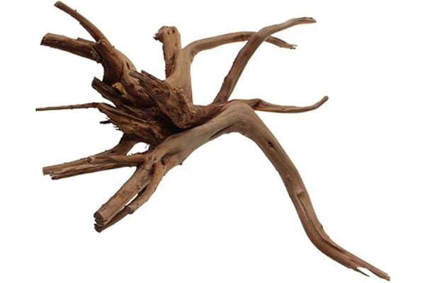 Emours Aquarium Driftwood Tropical Fish Plant Habitat Decor Varies Sizes (Small/6-8 Inch)