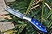 DKC Knives (9 5/18) DKC-58-DS Blue Bone Handle Little Jay Series Knives Damascus Folding Pocket Knife 4