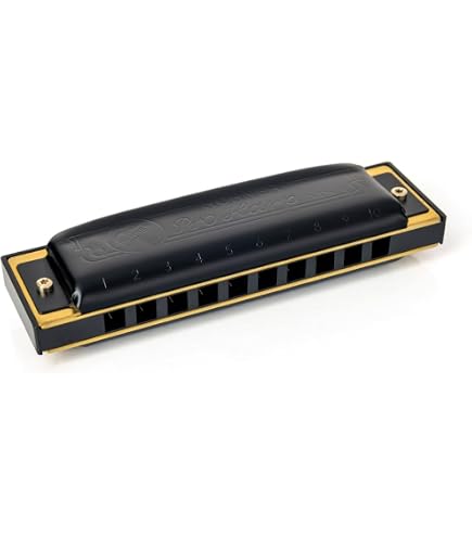 Amazon.com: Hohner 562BX-C Pro Harp Harmonica, Key of C : Musical